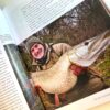 The Art of Deadbaiting for Big Pike by Mick Brown (signed copy) - Image 3